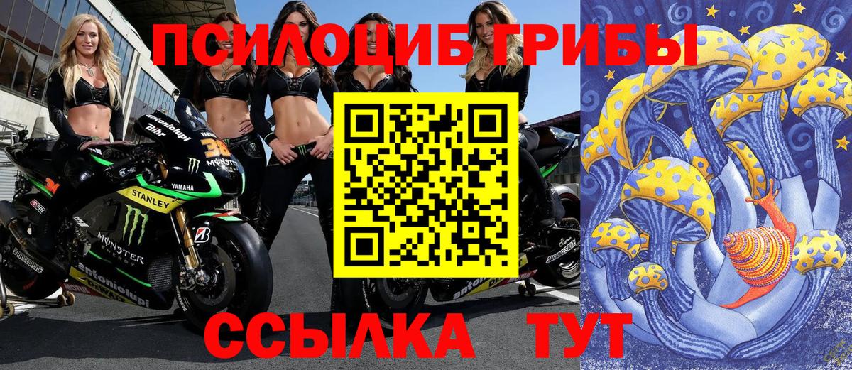 Галлюциногенные грибы MAGIC MUSHROOMS  Вход с VPN  Екатеринбург 